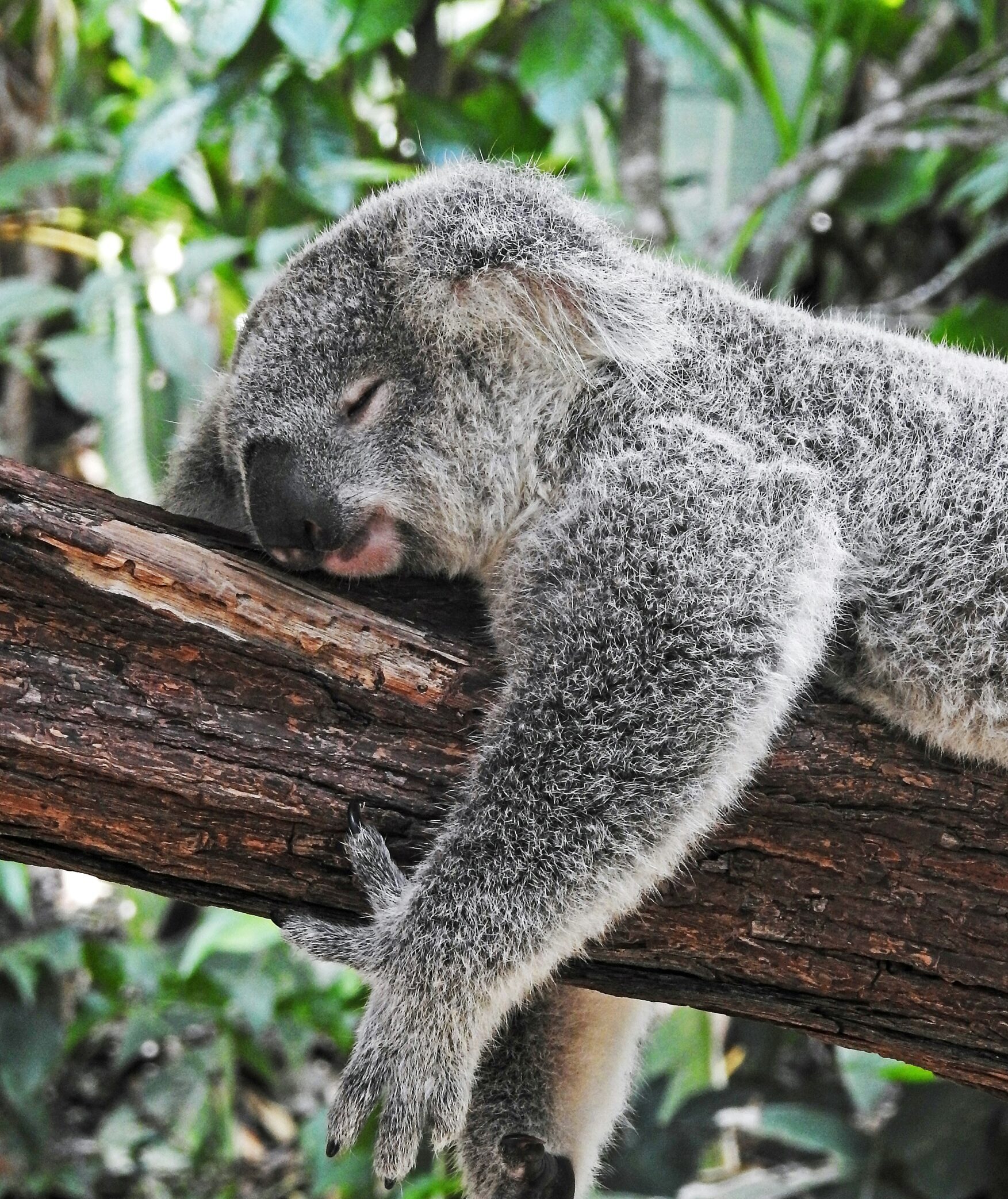 dobry jakosciowo sen wskazówki daje Prana Mind